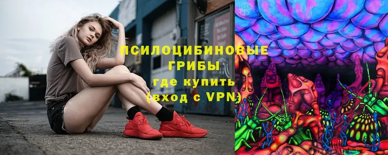 Псилоцибиновые грибы Magic Shrooms  Алдан 